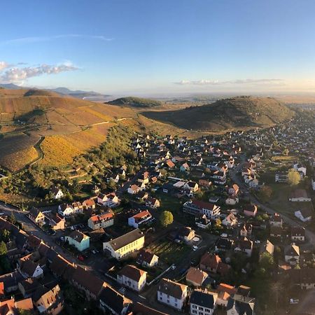 La Grenouille Daire Turckheim Dış mekan fotoğraf
