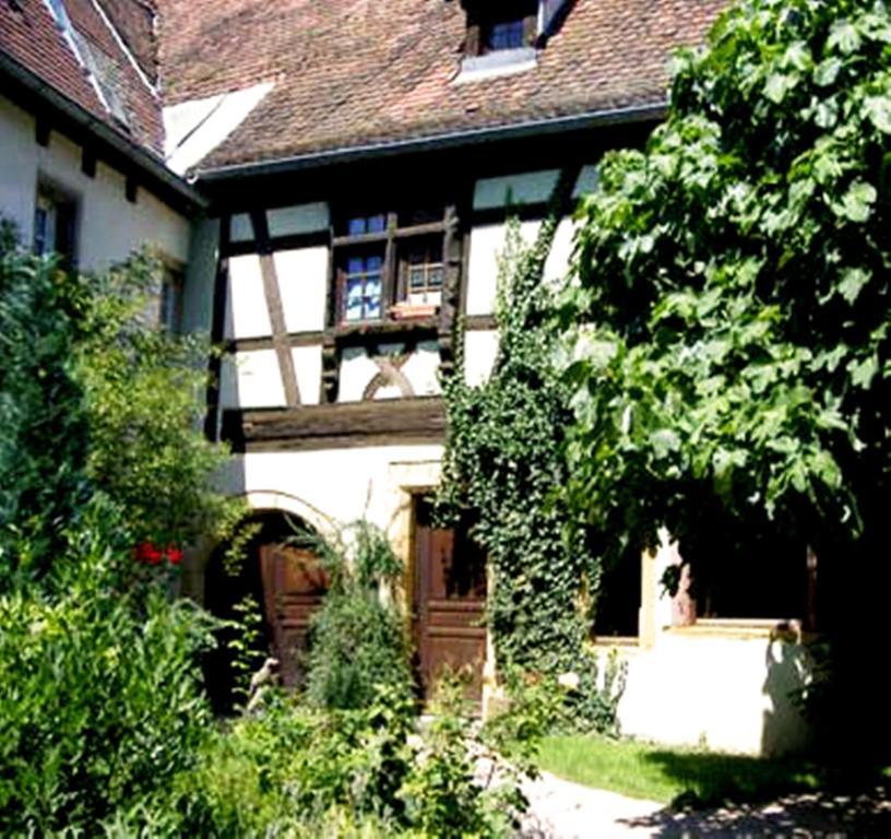 La Grenouille Daire Turckheim Dış mekan fotoğraf